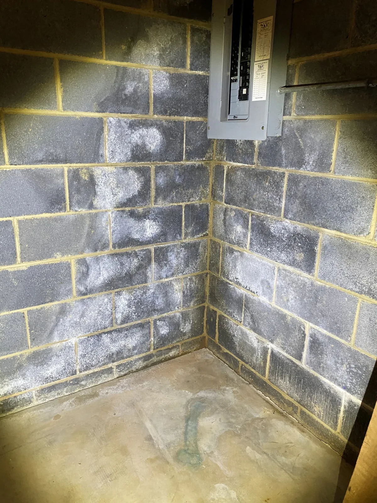 Moisture staining on an unfinished concrete block basement wall